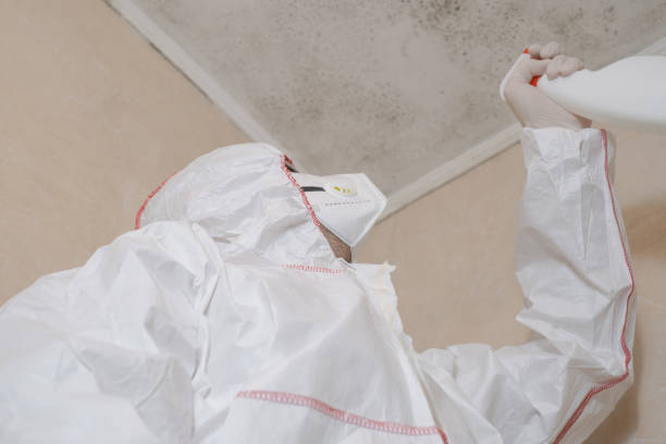 Water Damage Restoration in Forestbrook, SC